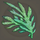 Calming Fern